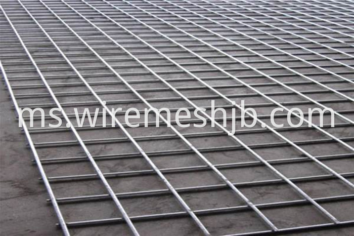 Steel Wire Mesh